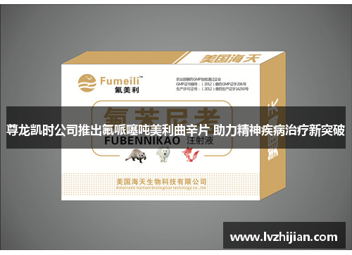 尊龙凯时公司推出氟哌噻吨美利曲辛片 助力精神疾病治疗新突破 尊龙凯时公司推出氟哌噻吨美利曲辛片 助力精神疾病治疗新突破