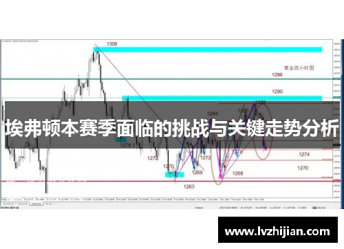 埃弗顿本赛季面临的挑战与关键走势分析